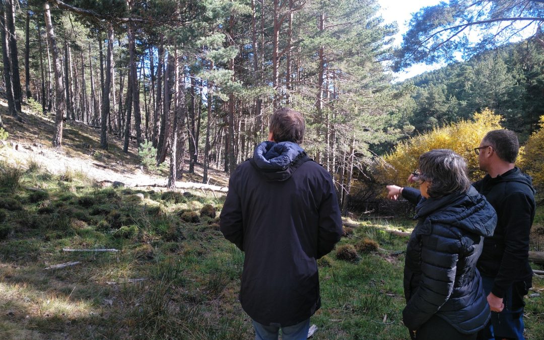 Integra Pirineus i Cesce sumem forces per a dur a terme la primera actuació de Donem Vida al Bosc