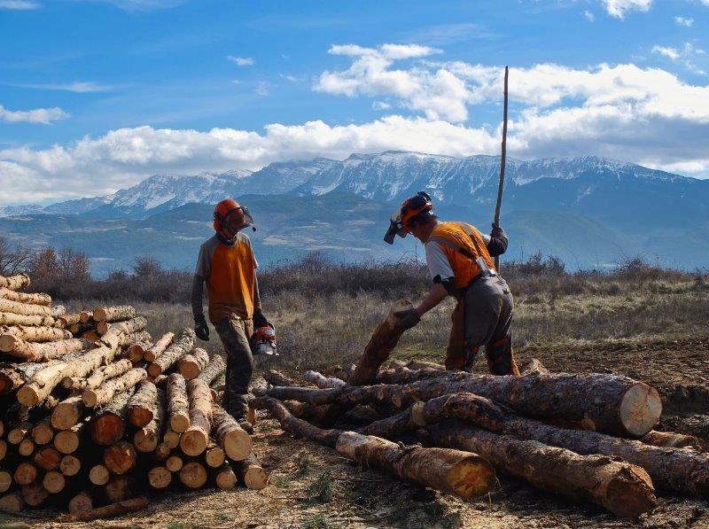 L’associació empresarial per a la discapacitat  reconeix la tasca d’Integra Pirineus